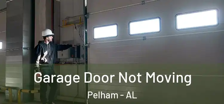 Garage Door Not Moving Pelham - AL