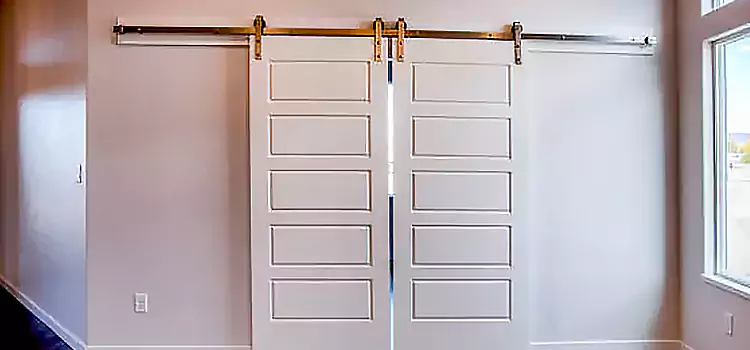 Glass Barn Door with Installation Hardware Kit Pelham