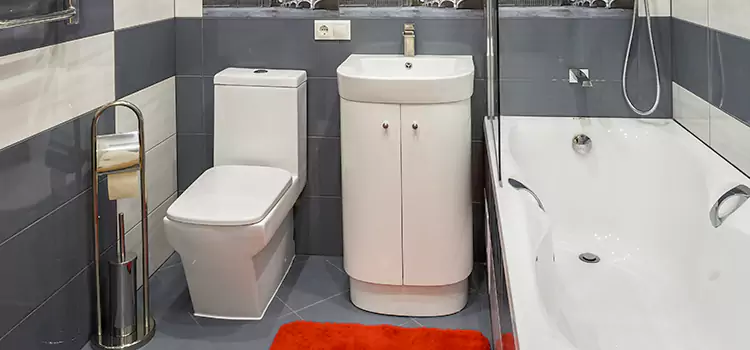 Hansgrohe Shaving Mirror Pelham
